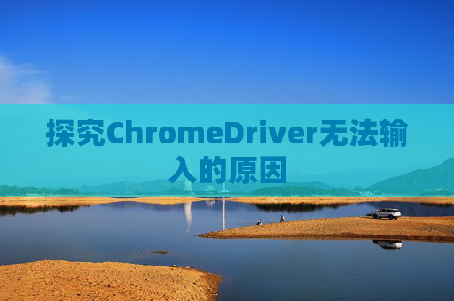 探究ChromeDriver无法输入的原因